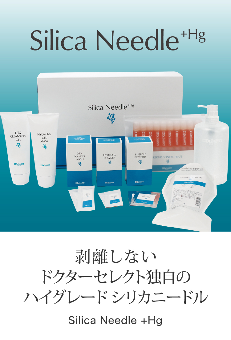 画像：Silica Needle