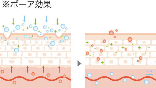 ボーア効果