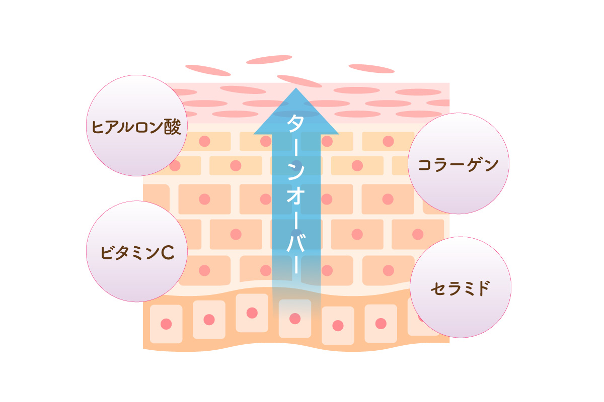 若々しい肌を保つための成分
